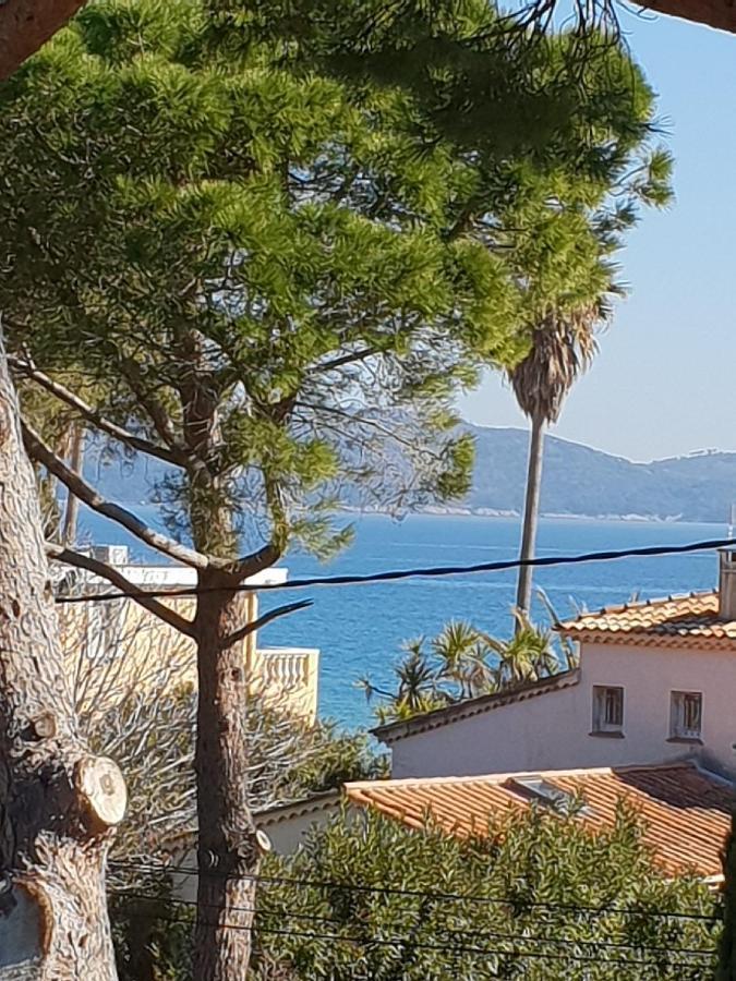 Superbe Appartement Cosy Vue Mer Pieds Dans L'Eau Cavalaire-sur-Mer Kültér fotó